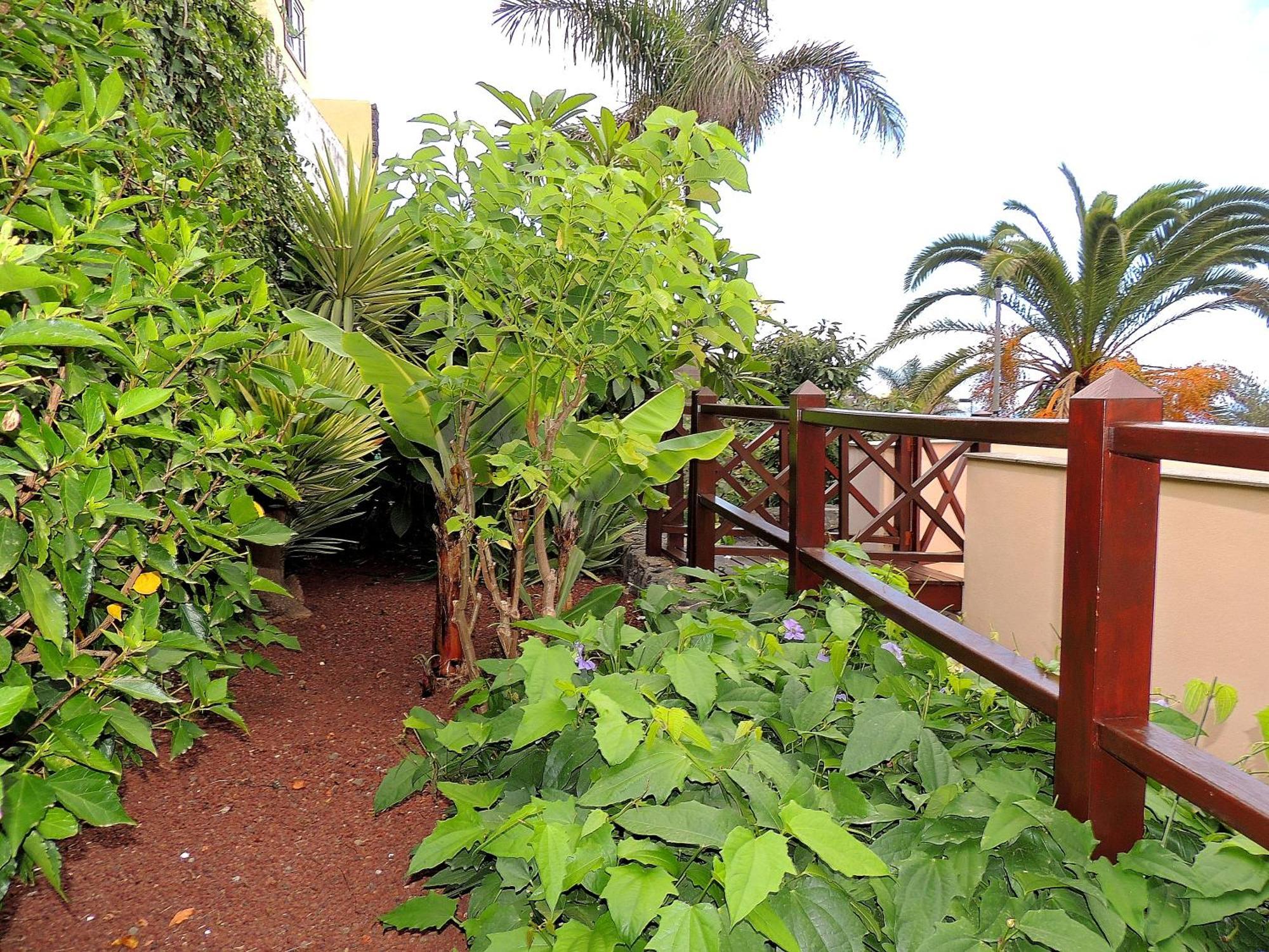 Apartamento Mar Y Teide Ель-Саусаль Екстер'єр фото